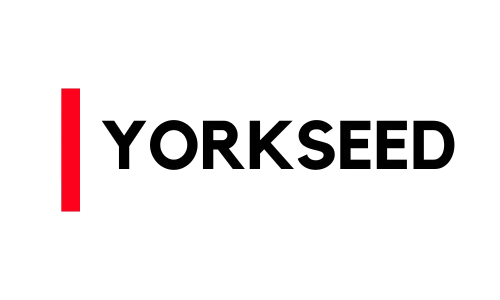 Yorkseed Yorkseed